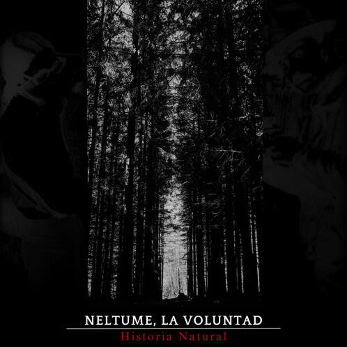 Neltume, la Voluntad